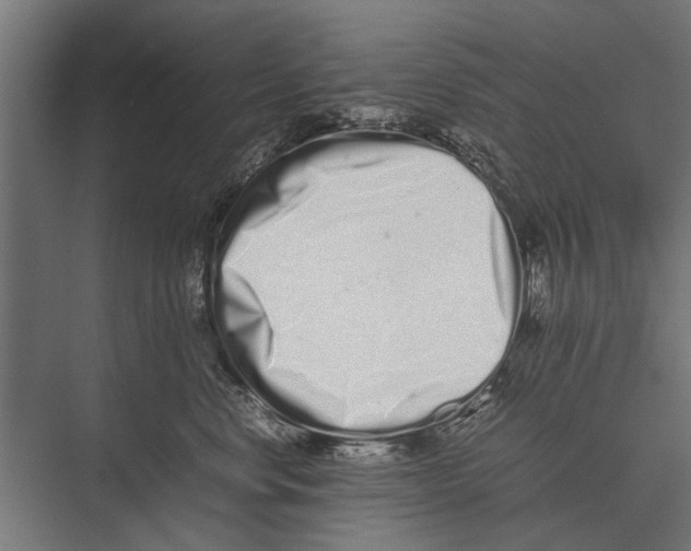 X0000075330668200610061630