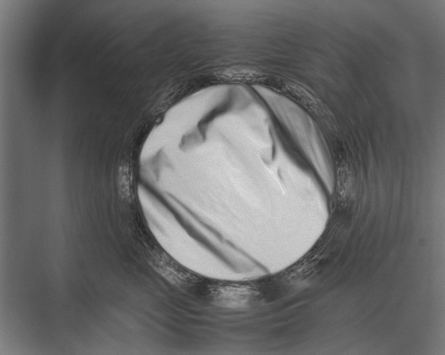 X0000075330669200610061630