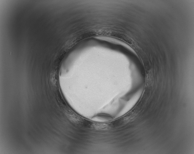 X0000075330671200610061630