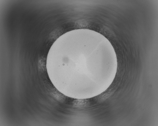 X0000075330672200610061630