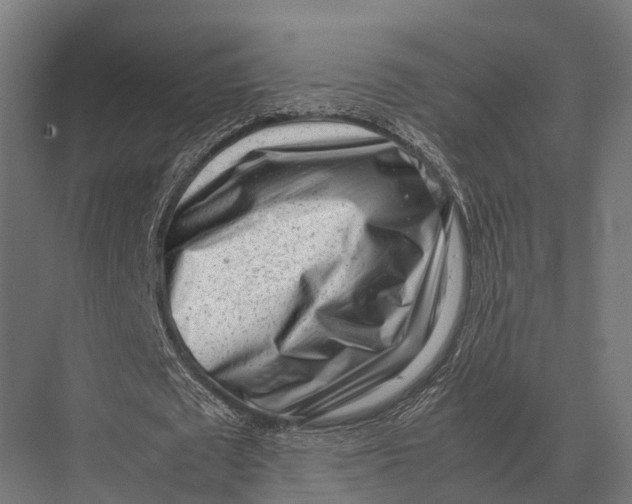 X0000075330673200610061629