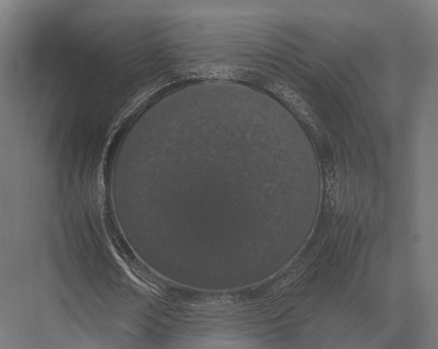 X0000075330674200610061629