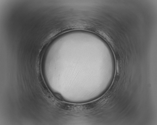 X0000075330675200610061629