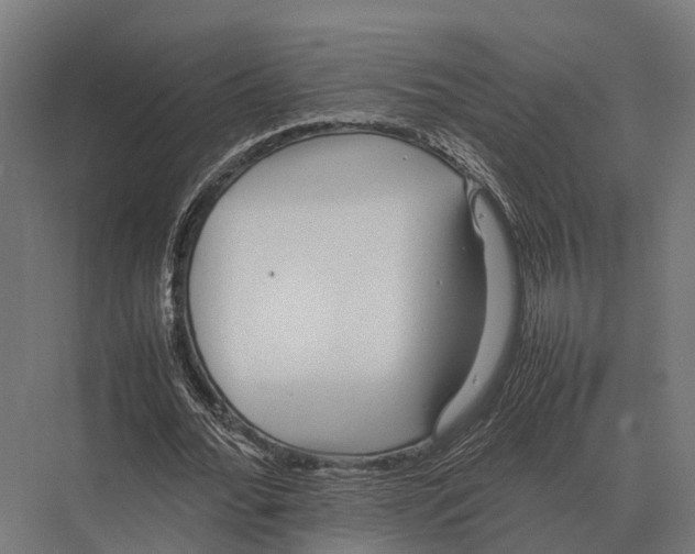 X0000075330676200610061629