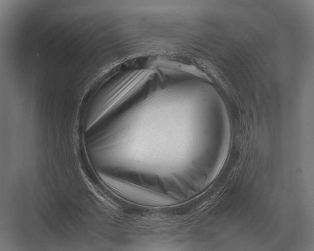 X0000075330677200610061629