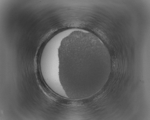 X0000075330678200610061629