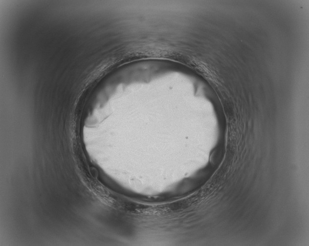 X0000075330679200610061629