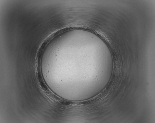 X0000075330680200610061629