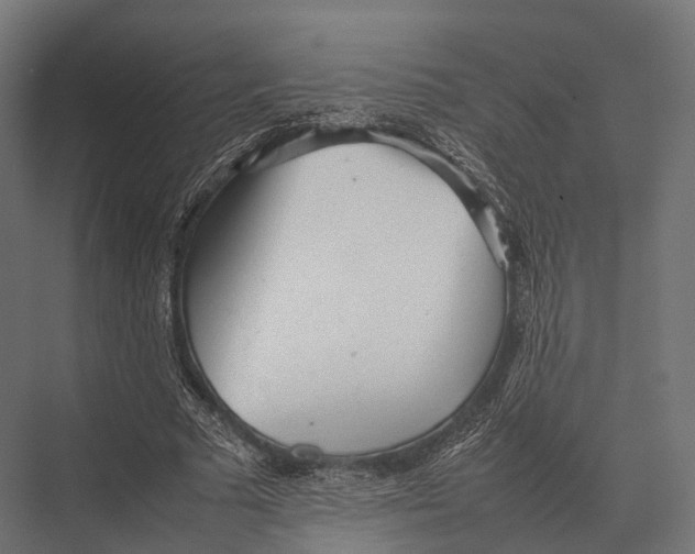 X0000075330681200610061629