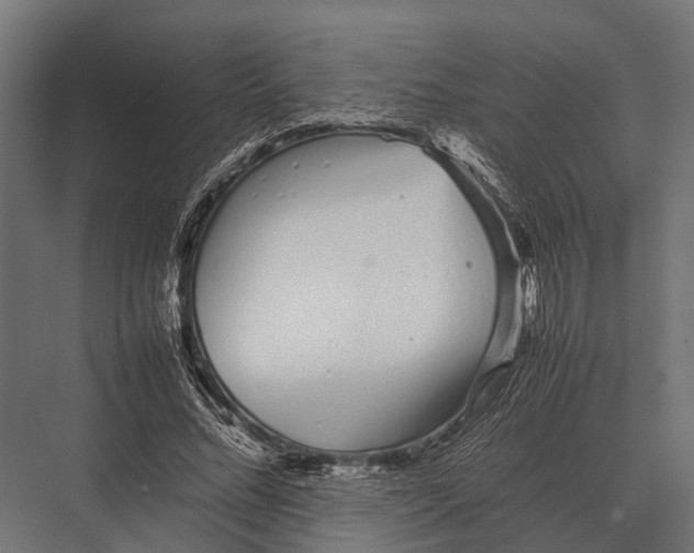 X0000075330684200610061629