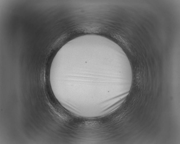 X0000075330686200610061629