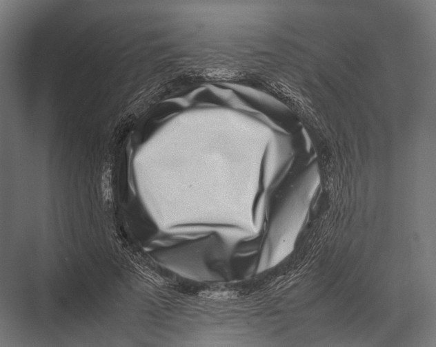 X0000075330689200610061629