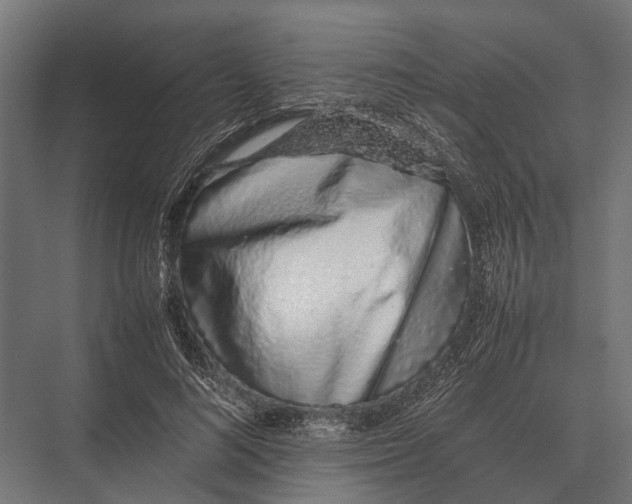 X0000075330692200610061628