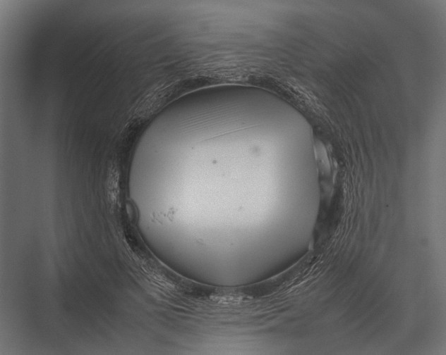 X0000075330693200610061628