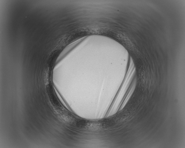 X0000075330694200610061628