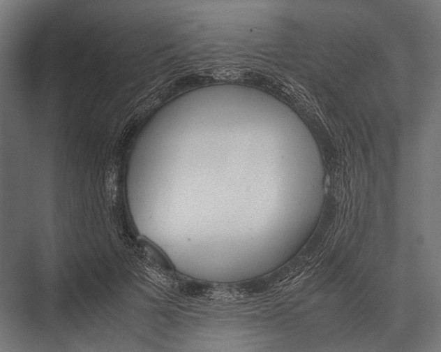 X0000075330697200610061628