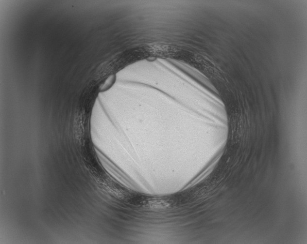 X0000075330702200610061628