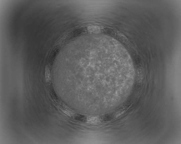 X0000075330705200610061628