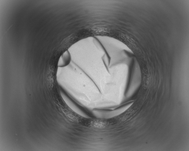 X0000075330710200610061628