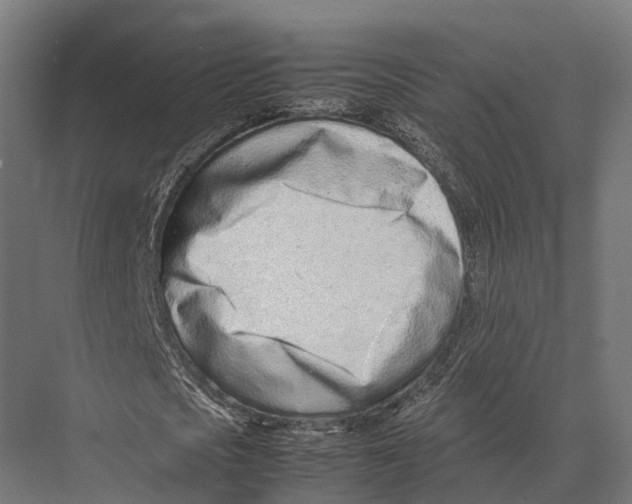 X0000075330721200610061627