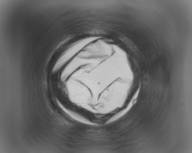 X0000075330727200610061627