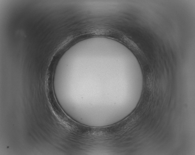 X0000075330730200610061627
