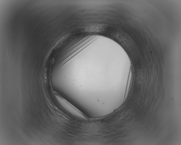 X0000075330731200610061627