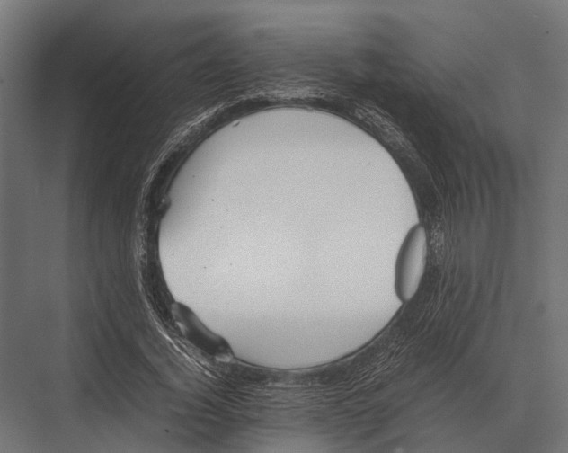 X0000075330732200610061627