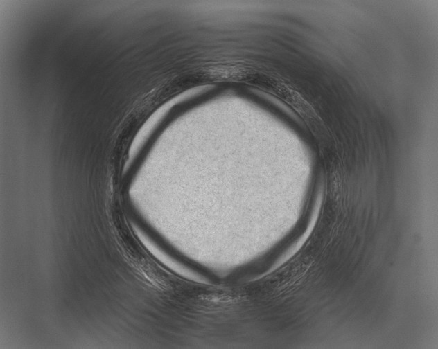 X0000075330733200610061627