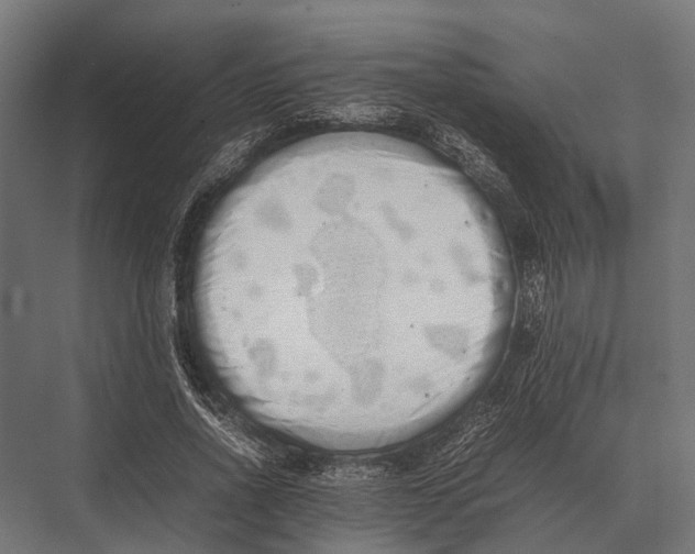 X0000075330734200610061627