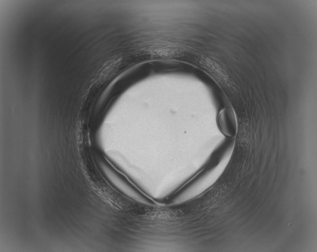 X0000075330738200610061627