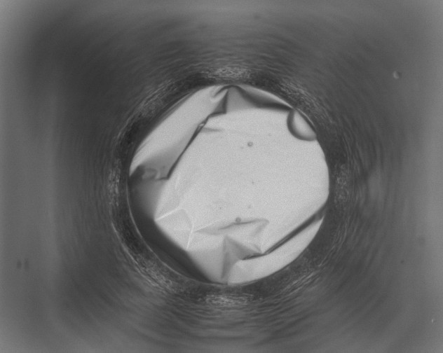 X0000075330739200610061627