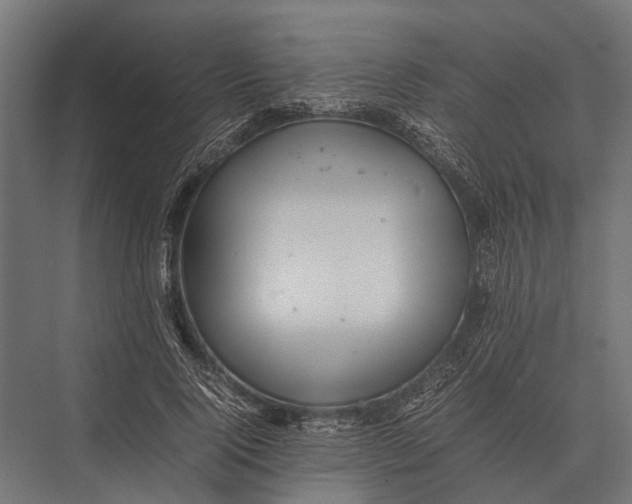 X0000075330740200610061627