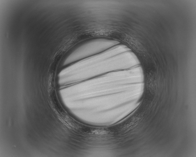 X0000075330742200610061628