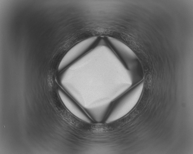 X0000075330746200610061628