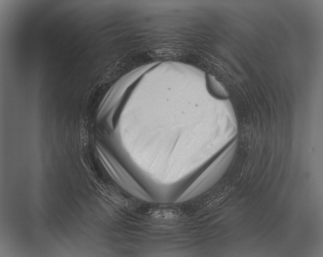 X0000075330751200610061628