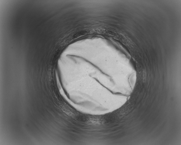 X0000075330757200610061628