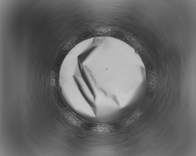 X0000075330758200610061628