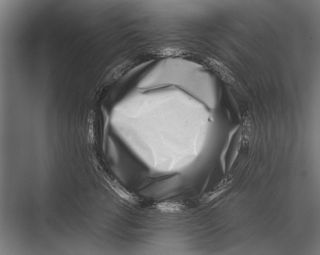 X0000075330762200610061628