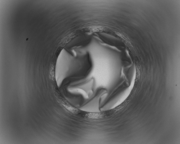 X0000075330766200610061628