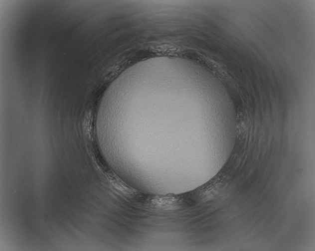 X0000075330767200610061628