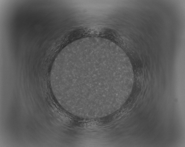 X0000075330769200610061627