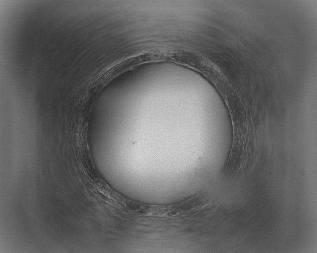 X0000075330773200610061627