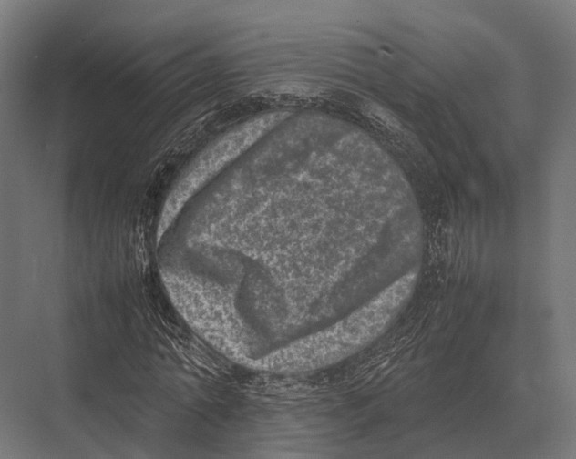 X0000075330774200610061627