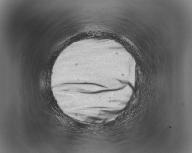 X0000075330775200610061627