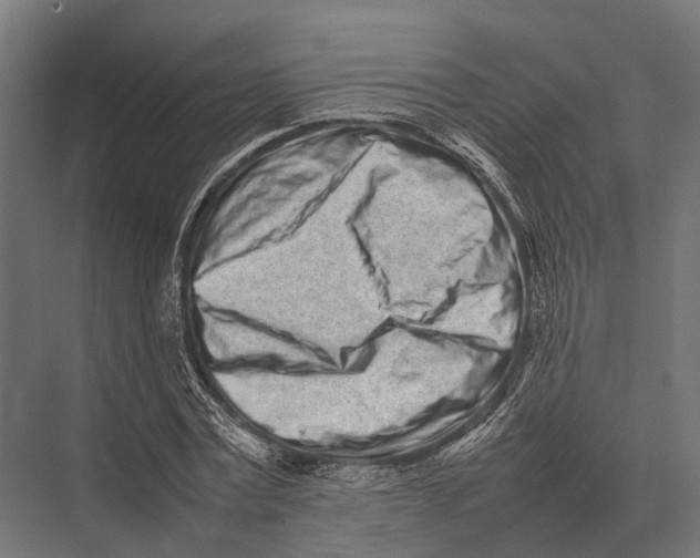 X0000075330779200610061627