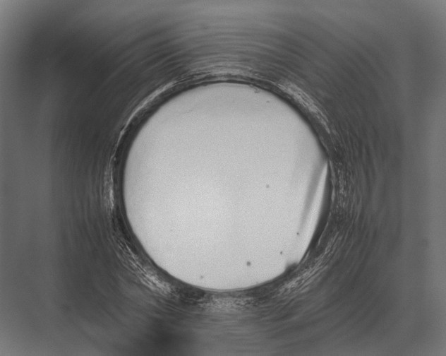 X0000075330782200610061627