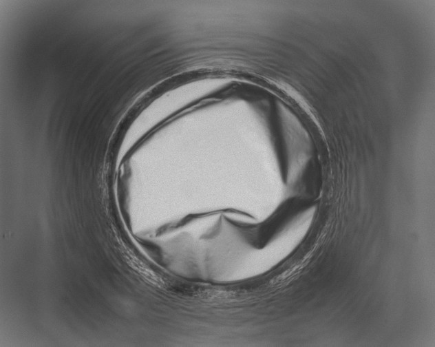 X0000075330783200610061627
