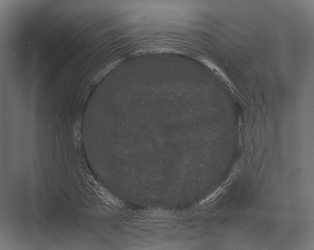 X0000075330785200610061627