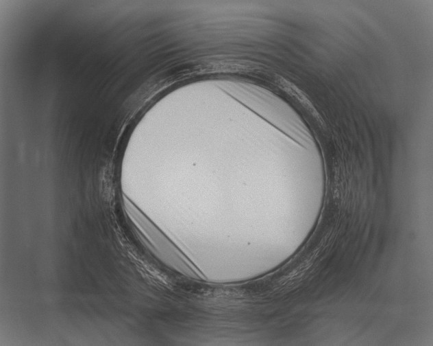 X0000075330786200610061627